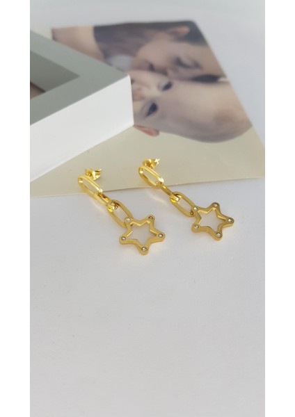 Çelik Küpe SNS301831