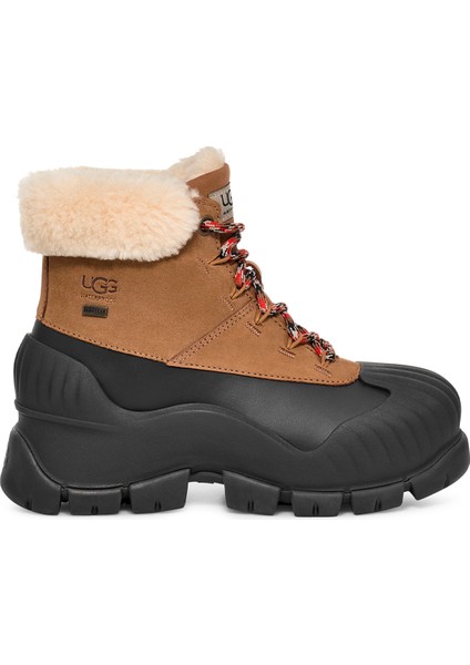 Ugg Deri Taba Kadın Kar Botu Adıroam HIKER1130851