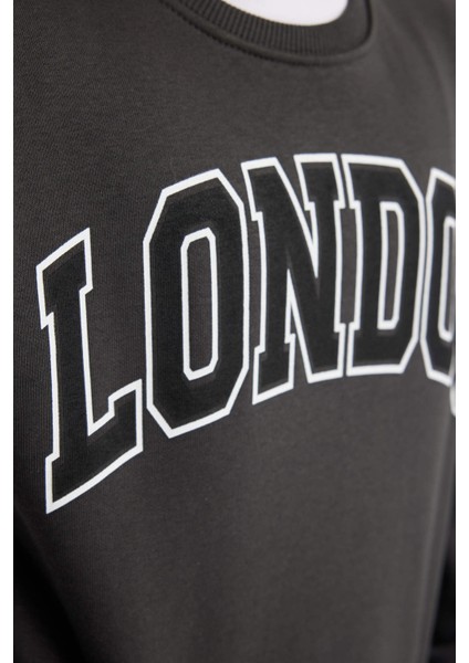 Erkek Çocuk Bisiklet Yaka Baskılı Kalın Sweatshirt B2051A823WN indirimleri
