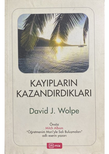 Kayıpların Kazandırdıkları - David J. Wolpe