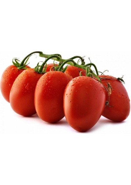 50 Adet Tohum Organik Bahçe Reyhalı Bursa Kışlık Domates Tohumu H fiyatları