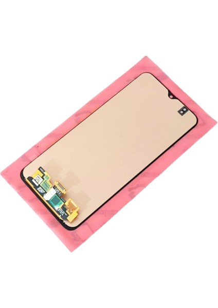 Samsung Galaxy M21 (M215F) LCD Ekran Dokunmatik Orjinal (B-7000+TAMIR Seti)