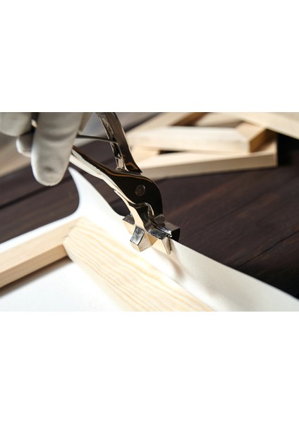 Sürrealist Doğa Tasarım Kanvas Tablo DR0152