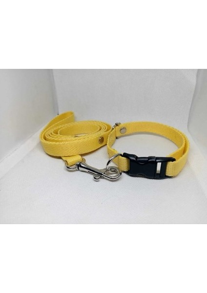 Köpek Tasma Gezdirme, Köpek Gezdirme Takımı, Mini ve Orta Irk, Yavru Köpek Gezdirme Köpek Boyun Tasması