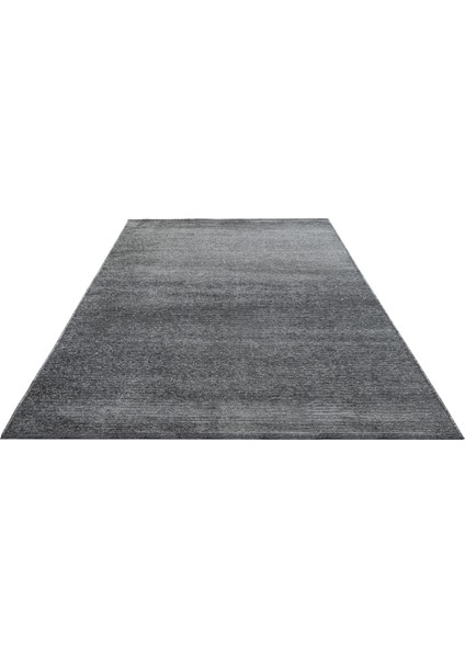 Alayna Anthracite Solid Color Cotton Machine Made Area Rug