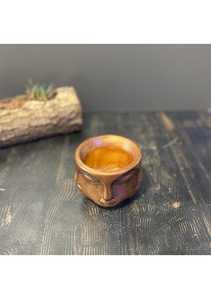 Çok Yüzlü Binbir Surat Küçük Vazo Saksı