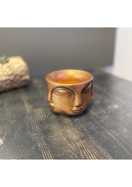 Çok Yüzlü Binbir Surat Küçük Vazo Saksı fiyatları