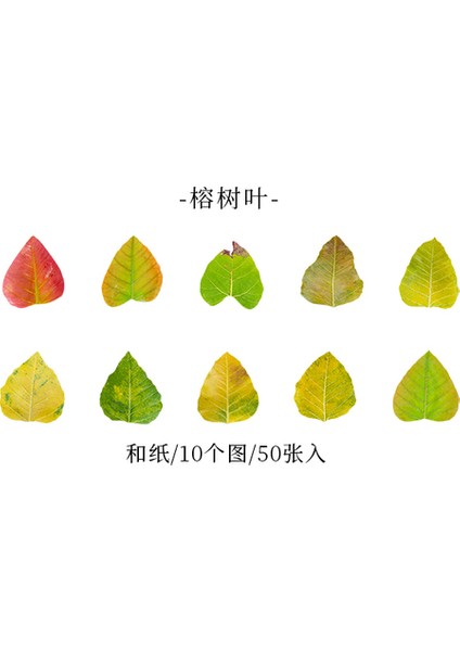 E 50 Adet Yapraklar Çıkartmalar Yapışkanlı Diy Scrapbooking Etiket Planlayıcısı El Yapımı Sopa Etiketleri Kolaj Malzemesi Yaprak Sticker (Yurt Dışından)