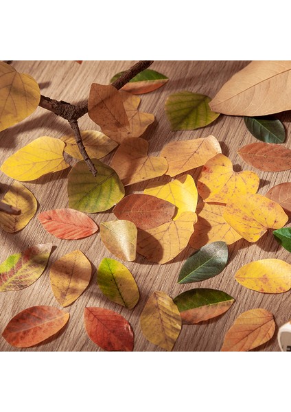 E 50 Adet Yapraklar Çıkartmalar Yapışkanlı Diy Scrapbooking Etiket Planlayıcısı El Yapımı Sopa Etiketleri Kolaj Malzemesi Yaprak Sticker (Yurt Dışından) fırsatları