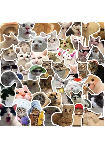 50 Adet 10/30/50 Adet Kawaii Gülümseme Kedi Eskiz Defteri Etiket Estetik Pvc Kırtasiye Çocuk Dekorasyon Scrapbooking Okul Malzemeleri (Yurt Dışından)