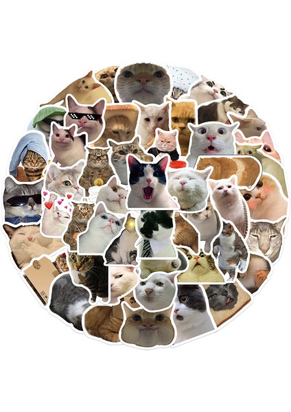 50 Adet 10/30/50 Adet Kawaii Gülümseme Kedi Eskiz Defteri Etiket Estetik Pvc Kırtasiye Çocuk Dekorasyon Scrapbooking Okul Malzemeleri (Yurt Dışından) fiyatları