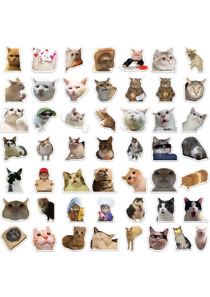 50 Adet 10/30/50 Adet Kawaii Gülümseme Kedi Eskiz Defteri Etiket Estetik Pvc Kırtasiye Çocuk Dekorasyon Scrapbooking Okul Malzemeleri (Yurt Dışından) modelleri