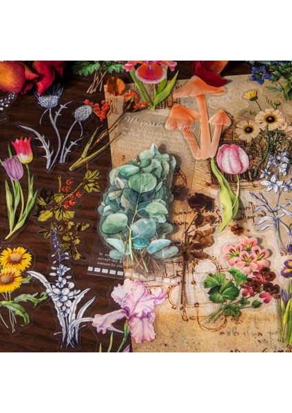 S19564-3 Mr.paper 8 Stilleri 40 Adet/torba Vintage Çıkartmalar Ins Tarzı Bitkiler Çiçekler Pet Bardak Dekoratif El Kitabı Dıy Kolaj Kore Kırtasiye (Yurt Dışından) modelleri