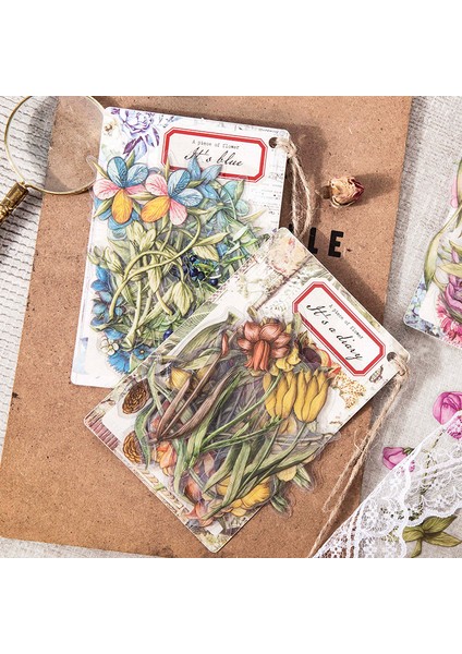 G Dimi 30 Yaprak Bir Parça Çiçek Serisi Etiket Bitki Pet Yapışkanlı Etiket Dıy Küçük Kartlar Dekor Kawaii Scrapbooking Aksesuarları (Yurt Dışından) fiyatları