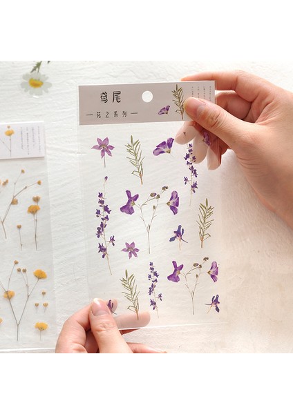 C 12 Tasarımlar Doğal Papatya Yonca Japonca Kelimeler Çıkartmalar Şeffaf Pet Malzeme Çiçekler Yapraklar Bitkiler Dekor Çıkartmalar Çiçek (Yurt Dışından)