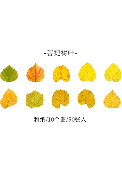 C 50 Adet Yapraklar Çıkartmalar Yapışkanlı Diy Scrapbooking Etiket Planlayıcısı El Yapımı Sopa Etiketleri Kolaj Malzemesi Yaprak Sticker (Yurt Dışından)