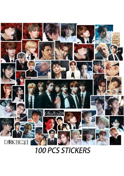 En1 Kpop Moda Grubu Sektör 17 Fml En Etiket Kartpostal Yeni Albüm Idol Kartları Fotoğraf Baskılar Resimleri Hayranları Hediye Etiketi (Yurt Dışından) modelleri