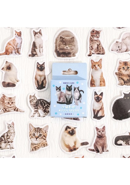 45 Adet 10/25/45 Adet Sevimli Kedi Fotoğrafları Yapışkan Etiket Estetik Günlüğü Çocuk Dekorasyon Kırtasiye Scrapbooking Okul Malzemeleri (Yurt Dışından)