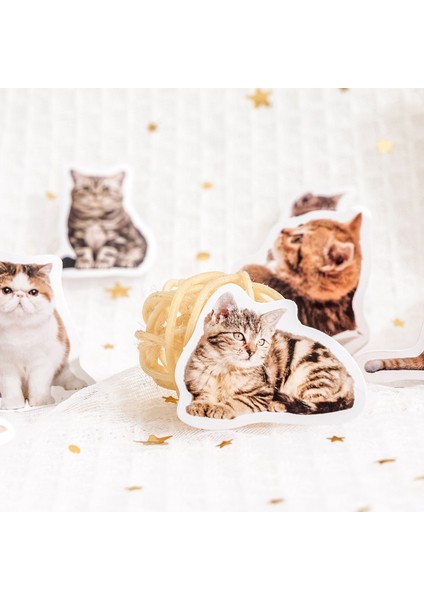 45 Adet 10/25/45 Adet Sevimli Kedi Fotoğrafları Yapışkan Etiket Estetik Günlüğü Çocuk Dekorasyon Kırtasiye Scrapbooking Okul Malzemeleri (Yurt Dışından) modelleri