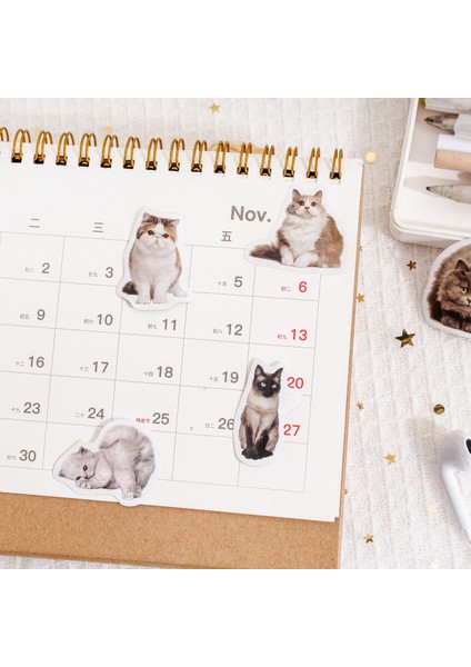 45 Adet 10/25/45 Adet Sevimli Kedi Fotoğrafları Yapışkan Etiket Estetik Günlüğü Çocuk Dekorasyon Kırtasiye Scrapbooking Okul Malzemeleri (Yurt Dışından) indirimleri