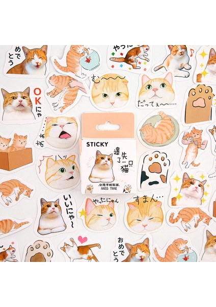D 46 Adet/grup Kawaii Pembe Yapışkan Sevimli Kedi Kutulu Çıkartmalar Planlayıcısı Scrapbooking Planlayıcısı Dekoratif Kırtasiye Kawaii Çıkartmalar (Yurt Dışından) modelleri