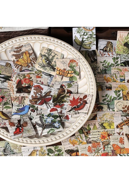 S19660-2 Mr.paper 4 Stil 46 Yaprak/kutu Vintage Çıkartmalar Hayvan Bitki Çiçek Zengin Desen El Kitabı Dıy Dekorasyon Kolaj Kırtasiye (Yurt Dışından) modelleri