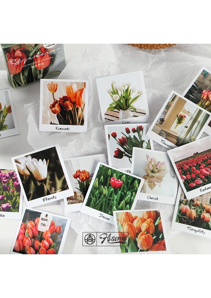 L 45 Adet/grup Vintage Çıkartmalar Scrapbooking Malzemeleri Yapışkanlı Planlayıcı Etiketleri Günlük Defteri Fotoğraf Albümü Deco Kırtasiye (Yurt Dışından)