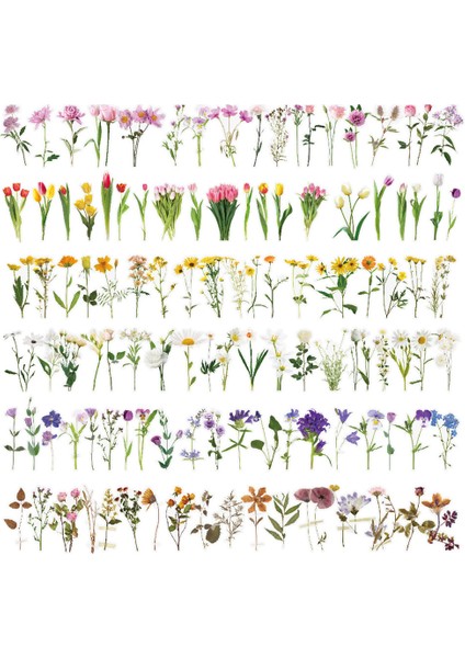 Tatlı 40 Adet Çiçek Çıkartmalar Dizüstü Bilgisayarlar Için Kelebek Kırtasiye Çıkartmalar Dıy Günlüğü Bullet Dergisi Dekorasyon Çıkartması Albümü Scrapbooking (Yurt Dışından) fiyatları