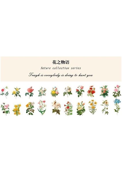 Stil 3 Pet Doğal Bitki Koleksiyonu Yeşil Yaprak Dekoratif Pvc Çıkartmalar Scrapbooking Etiket Günlüğü Kırtasiye Albümü Günlük Planlayıcısı (Yurt Dışından)