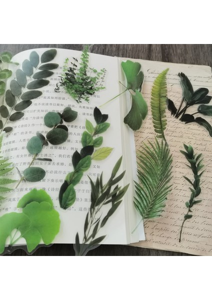 Stil 3 Pet Doğal Bitki Koleksiyonu Yeşil Yaprak Dekoratif Pvc Çıkartmalar Scrapbooking Etiket Günlüğü Kırtasiye Albümü Günlük Planlayıcısı (Yurt Dışından) fiyatları