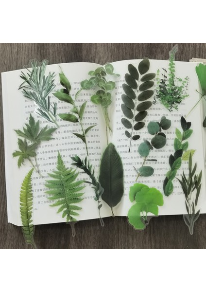 Stil 3 Pet Doğal Bitki Koleksiyonu Yeşil Yaprak Dekoratif Pvc Çıkartmalar Scrapbooking Etiket Günlüğü Kırtasiye Albümü Günlük Planlayıcısı (Yurt Dışından) fırsatları