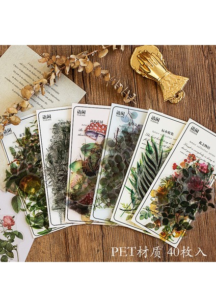 Stil 3 Pet Doğal Bitki Koleksiyonu Yeşil Yaprak Dekoratif Pvc Çıkartmalar Scrapbooking Etiket Günlüğü Kırtasiye Albümü Günlük Planlayıcısı (Yurt Dışından) indirimleri