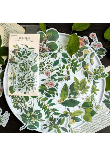 Stil 4 60 Adet/paket Dekoratif Sticker Vintage Dergisi Günlüğü Yeşil Bitki Yaprak Kağıt Retro Çiçek Çıkartmalar Scrapbooking Gevreği Kırtasiye (Yurt Dışından) fiyatları