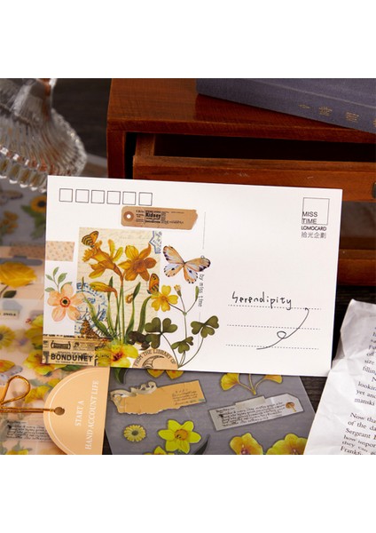 S19803-4 Mr. Paper 6 Stil Bitki Transferi Çıkartmalar Vintage Doğal Saklama Kutusu Dekorasyon Günlüğü El Kitabı Dıy Kırtasiye Estetik Çıkartmalar (Yurt Dışından) indirimleri