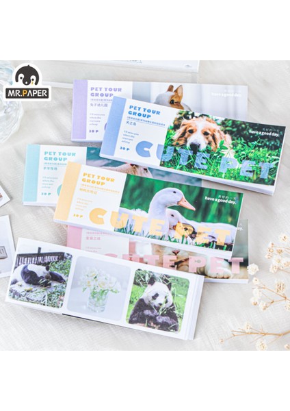 S19701-5 Mr.paper Hayvan Washi Çıkartmalar Panda Kediler Köpekler Seyahat Günlük El Kitabı Dıy Kolaj Zengin Desen Sevimli Çıkartmalar Kore Kırtasiye (Yurt Dışından) fiyatları