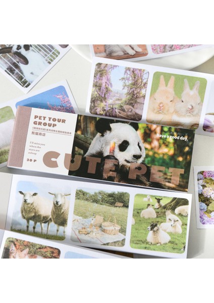 S19701-5 Mr.paper Hayvan Washi Çıkartmalar Panda Kediler Köpekler Seyahat Günlük El Kitabı Dıy Kolaj Zengin Desen Sevimli Çıkartmalar Kore Kırtasiye (Yurt Dışından) modelleri