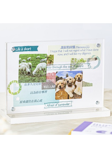 S19701-5 Mr.paper Hayvan Washi Çıkartmalar Panda Kediler Köpekler Seyahat Günlük El Kitabı Dıy Kolaj Zengin Desen Sevimli Çıkartmalar Kore Kırtasiye (Yurt Dışından) fırsatları