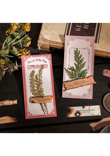 Stil 3 Bay Kağıt 6 Stilleri 30 Adet/paket Vintage Çıkartmalar Sanat Kişiselleştirilmiş Uzun Şeritler Ingilizce Yanmış El Kitabı Dekorasyon Dıy Malzeme (Yurt Dışından) indirimleri