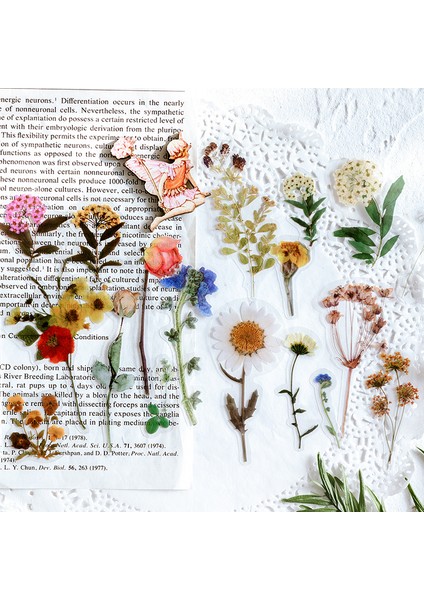 Bir Mohamm 40 Yaprak Bitki Çiçekler Mini Scrapbooking Çıkartmaları Estetik Kağıt Etiket Gevreği Sabit Ofis Aksesuarı Sanat Kaynağı (Yurt Dışından) fırsatları