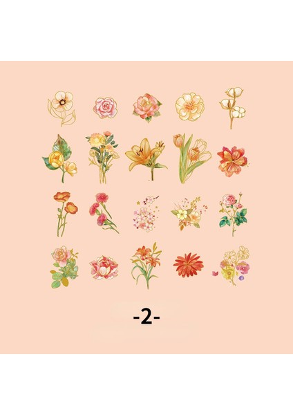 S19320-2 Bay Kağıt 40 Adet/torba Pvc Çıkartmalar Sıcak Damgalama Bitki Çiçek Tema Kupa Cep Telefonu Dekoratif El Kitabı Dıy Kolaj Kırtasiye (Yurt Dışından)