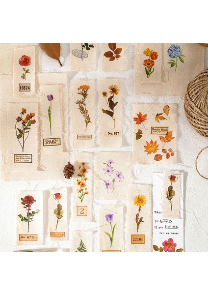 A2 1 Takım Vintage Ovmak Transferler Bitki Çıkartmalar Çiçek Dekorasyon Çıkartması El Sanatları Için Kumaş Günlük Kaydı Süt Scrapbooking Planlamacılar (Yurt Dışından)