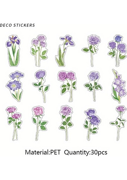 Bir 30 Adet Mohamm 30 Adet Su Geçirmez Pet Retro Bitki Çiçekler Dekoratif Sticker Scrapbooking Için Dıy Telefon Kılıfları Yaratıcı Kolaj Günlükleme (Yurt Dışından)