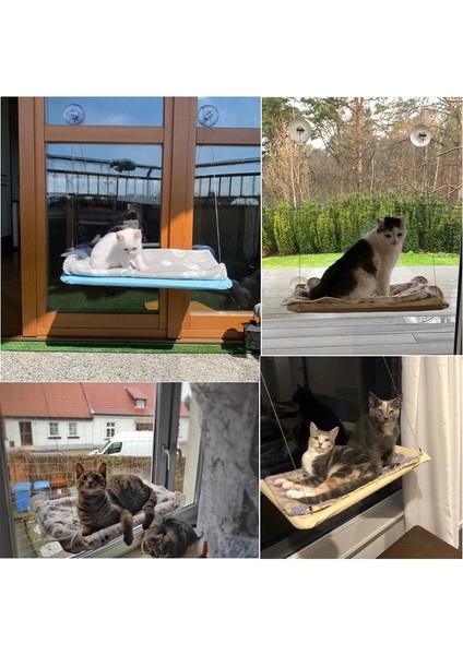 Kırmızı 20KG Kedi Yatağı Penceresi, Kedi Penceresi Hamak Penceresi Levrek, Güvenlik Kedi Rafları Büyük Kediler Için Yerden Tasarruflu Pencereye Monte Kedi Koltuğu (Yurt Dışından) indirimleri