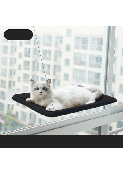 Siyah Asma Pet Yatak Güneşlenme Penceresi Pet Standı Kedi Hamak 20 Kg'a Kadar Rahat Pet Yatak Rafı Yatak Kedi Yatak Kedi Sepeti (Yurt Dışından)