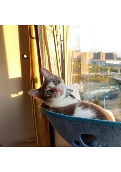 Mavi L Sıcak Satış Evcil Hayvan Hamak Yatakları Rulman 20 kg Kedi Pencere Şezlong Emme Hamak Pet Kedi Pencere Raf Rahat Kedi Gelincik Pet Yatak (Yurt Dışından) fırsatları