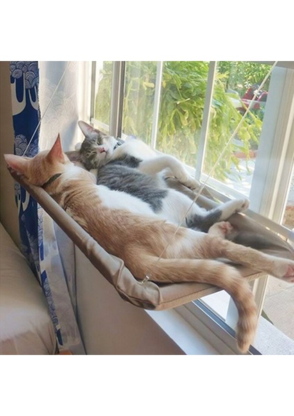 Haki Pet Vantuz Asma Kedi Hamak Yavru Kedi Tırmanma Çerçevesi Sonbaharkış Pet Yatak Kedi Hamak Çıkarılabilir Yıkanabilir Kedi Yuvası (Yurt Dışından)