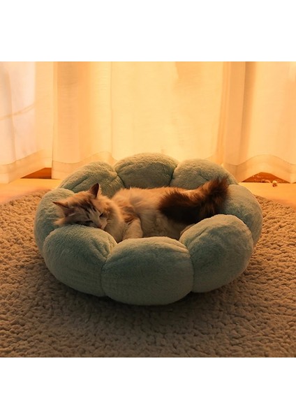 Krem 40 cm Çiçek Şekilli Kedi Yatağı Kapalı Rahat Evcil Hayvan Yatakları Ultra Yumuşak Peluş Köpek Sepeti Şezlong Sıcak Kendiliğinden Isınan Ev Uyku Tulumu Yastık Mat (Yurt Dışından) fırsatları