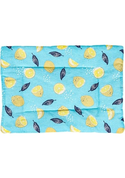 Orman Yeşili M 45X55 cm Köpek Yatağı Kalınlaşmış Köpek Mat Pet Kedi Yumuşak Polar Ped Battaniye Yatak Mat Yastık Ev Yıkanabilir Halı Evcil Hayvan Malzemeleri Cama Perro (Yurt Dışından)