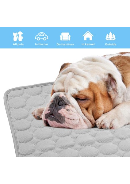 Açık Mavi Xs 40X30 cm Kedi Köpek Serin Yatak Paspasları Yaz Kediler Köpekler Için Soğutma Mat Nefes Alabilir Pet Buz Pedi Yıkanabilir Yavru Kedi Kanepe Yastığı Kedi Köpek Aksesuarları (Yurt Dışından) fiyatları
