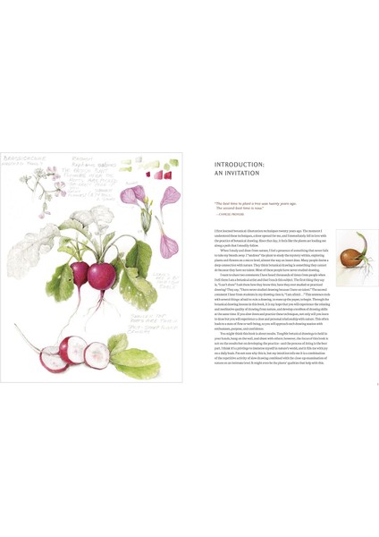 The Joy Of Botanical Drawing: A Step-By-Step Guide To Drawing And Painting Flowers, Leaves, Fruit, And More - Wendy Hollender